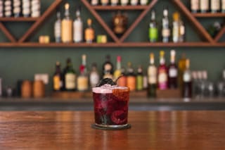 Hibiscus Mezcalita